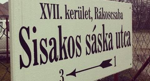 Tudod-e, mely állatokról vannak elnevezve utcák Budapesten? – Kvíz