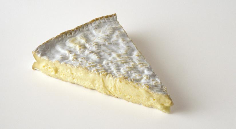 Úgy kellett, mint egy falat kenyér: Itt a régi-új őrület, a sajtjóslás