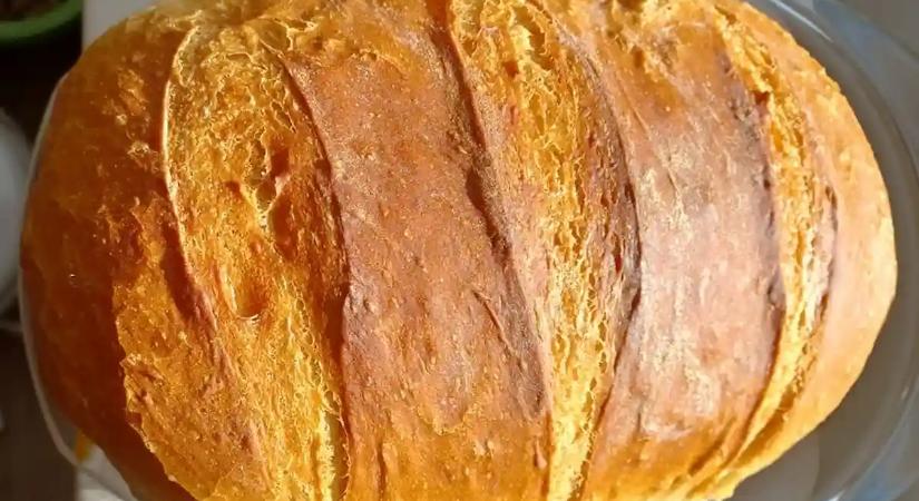 Felejtsd el a penészt: rekordideig lesz friss a kenyér, ha így tárolod