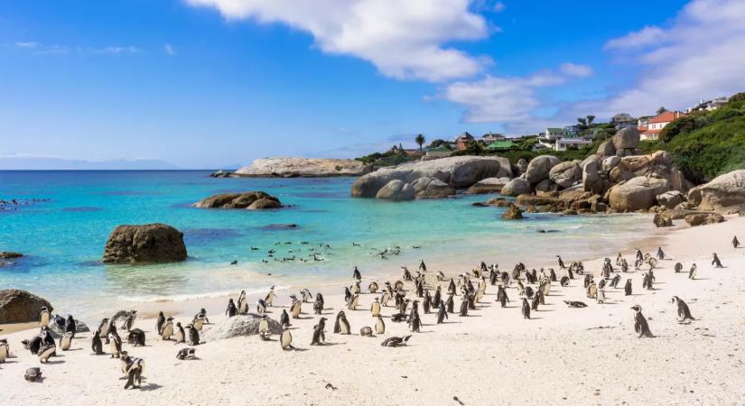 Íme a világ 3 legkülönlegesebb strandja: felejtsd el a unalmas luxust!