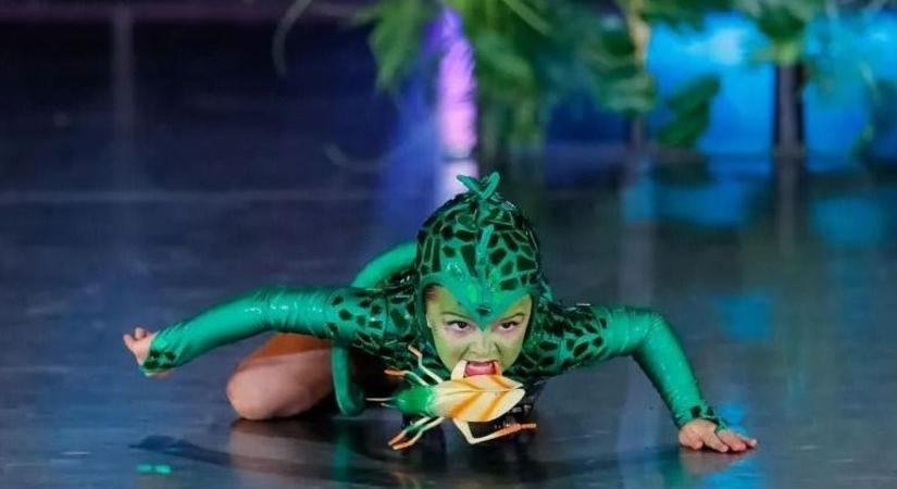 Takács Szofinak az sem jelentett gondot, hogy előző este tanulta be a koreográfiát – a debreceni táncos ismét halmozta az érmeket!