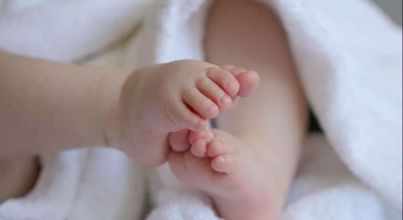 Kitört a pánik: patkánymérget raktak több bébiételbe