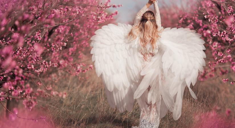 A Bika csillagjegy őrangyalai – a Bika havának 3 legerősebb angyala és a 848 Angyalszám üzenete