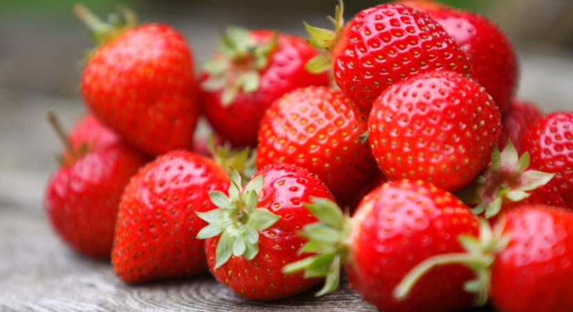 Még nagyapámtól tanultam a trükköt: ezt kell tenni az eperrel, hogy dupla annyi termés legyen rajta