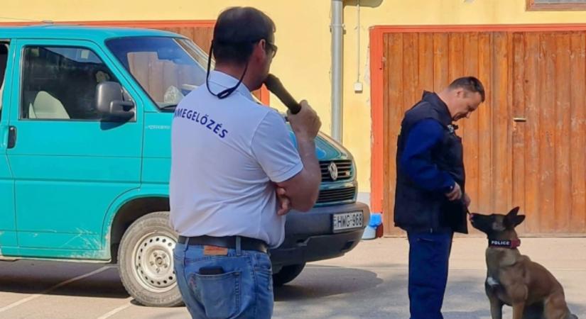 Kutyás bemutató és prevenció a Szent István Általános Iskolában