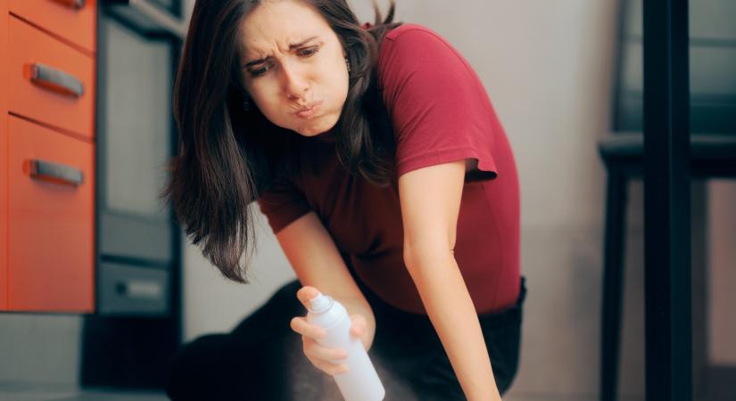 Kevesen ismerik ezt az egyszerű házi praktikát, pedig villámgyorsan megszabadít a százlábúktól