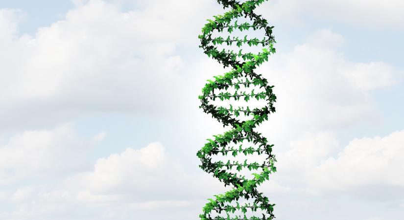 Lépett az EU: legális lett a génszerkesztés