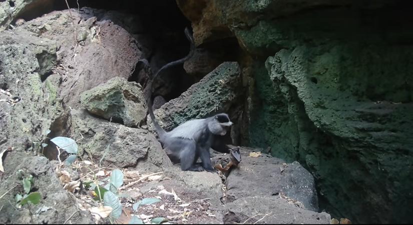 Hemzsegnek a turisták a Marburg-vírussal fertőzött ugandai Python-barlangban