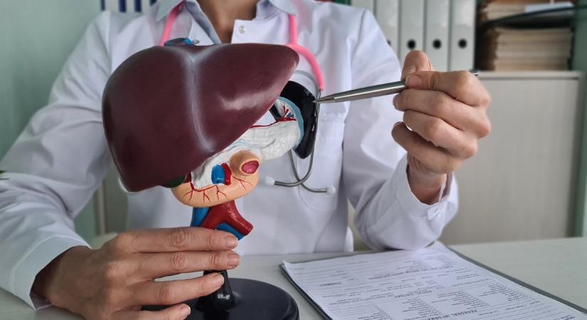 Ordítja a háziorvosom: egy kanál ebből naponta, és a szíved erősebb lesz, mint valaha