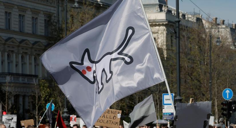 Kiderült, hol tart a Kutyapárt gyűjtése, amit azért indítottak, hogy visszafizethessék a kampányukra kapott 686 milliós állami támogatást