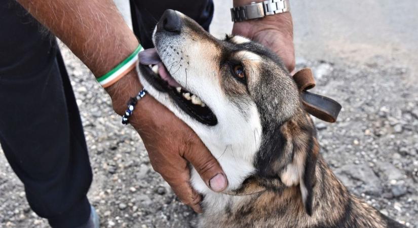 Akár 75 ezer forintos bírság is járhat, ha ezt nem csinálod meg