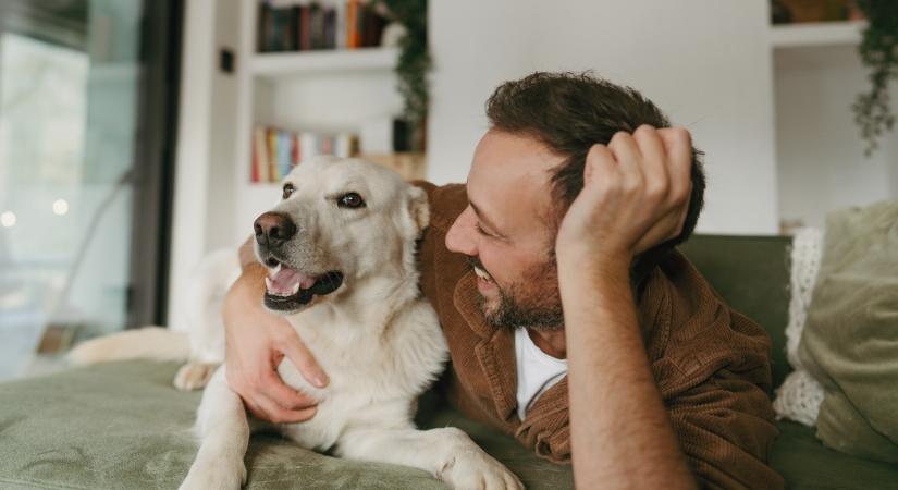Hogyan állapíthatod meg, hogy a kutyád tényleg szeret téged?