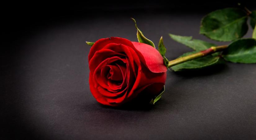 Baj van! Súlyosan megbetegedett A Nagy Ő sztárja