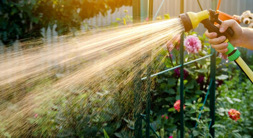 Ez húzós lesz a magyar kerttulajdonosoknak: váratlan kiadásra számíthatnak