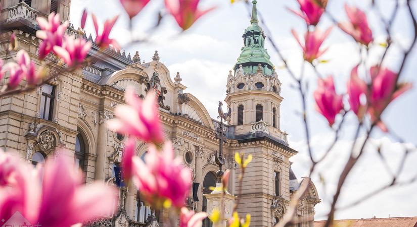 Különleges helyek Győrben, amiket eddig lehet, hogy nem ismertél