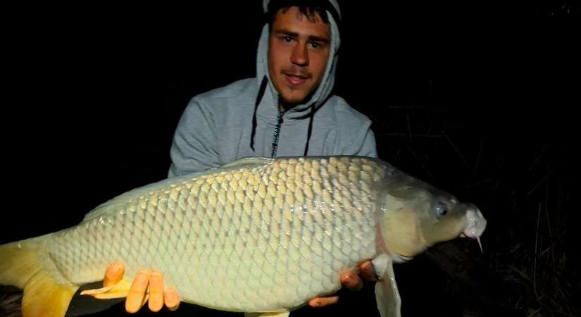 Sorra dőlnek a rekordok, újabb hatalmas rekordpontyok kerültek elő a Holt-Tiszából