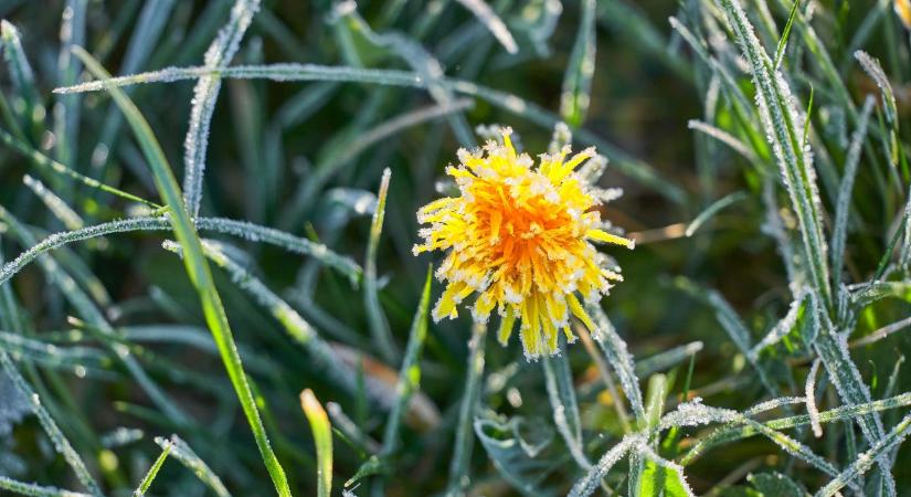 Időjárás: többfelé fagyhat  VIDEÓ