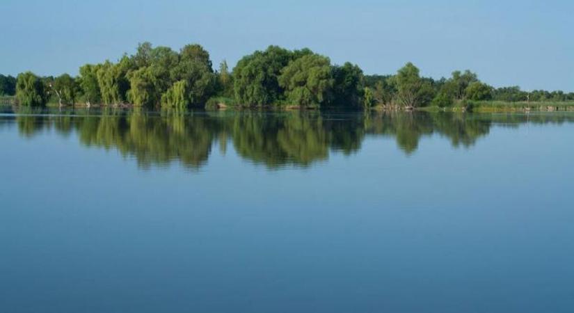 ,,Kosarat kapnak” ugyan, de nem mindegy, hogy milyet