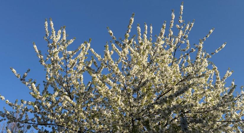 Meglepő fordulat a szerdai időjárásban: szél és napsütés csap össze