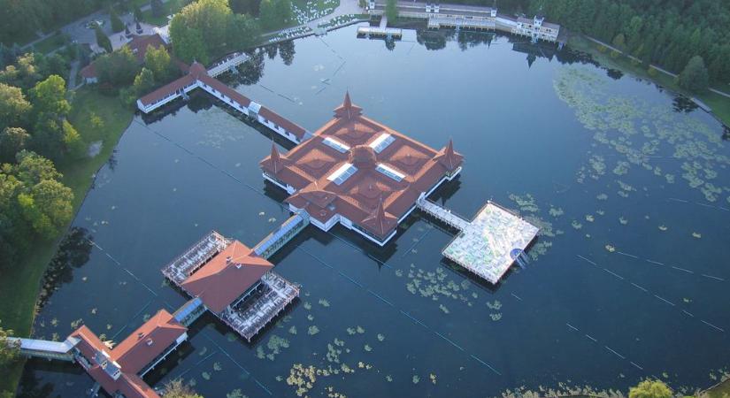 Trópusi élőlény terjed Hévíznél: már a Balatont is veszélyezteti