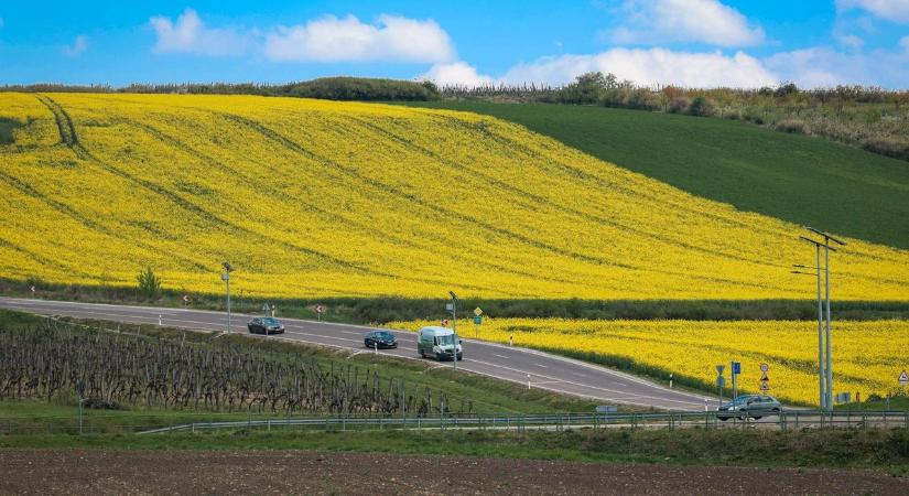Nem ezt remélték a hevesi gazdák, aszály után jön az újabb csapás