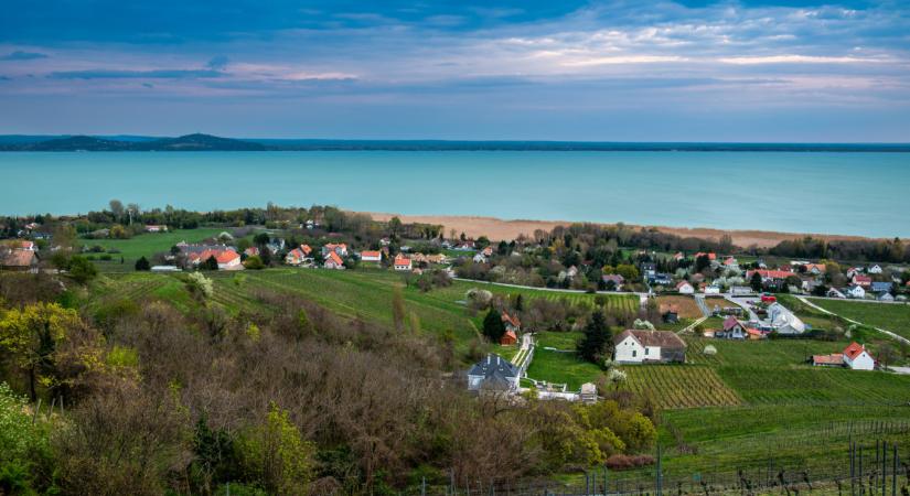 Kongatják a vészharangot a kutatók: feltartóztathatatlanul terjed egy pusztító trópusi növény a Balatonban