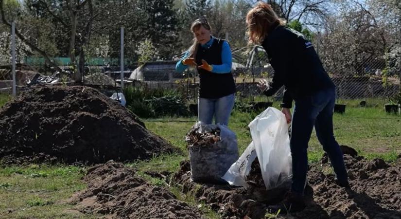 Nézd meg hogyan készül ez a forradalmi bioágyás!  VIDEÓ