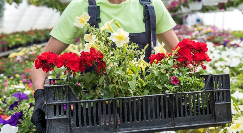 Verssel köszöntötték a tavaszt a 65 év felettiek a járási székhelyen