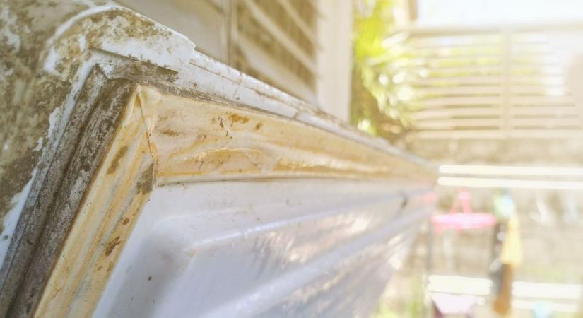 Sokkoló eredmények: penészes hűtők és átírt szavatossági idő miatt csaptak le a hatóságok