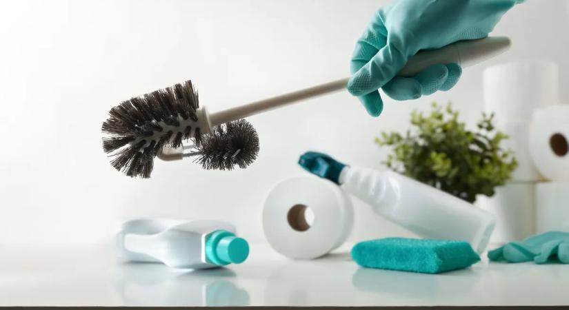 Ezért fontos a WC-kefe tisztántartása is otthonunk higiéniájáért