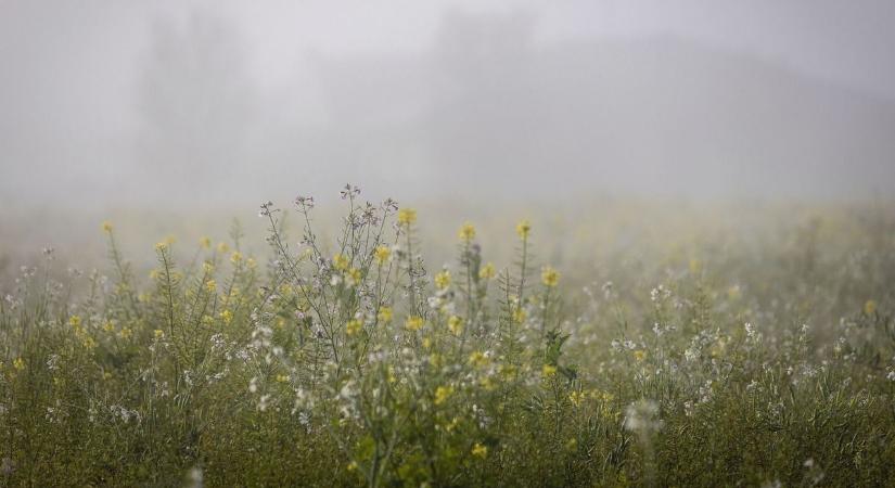 Reggeli köd, nappali enyhülés – de nem ennyire egyszerű a kép