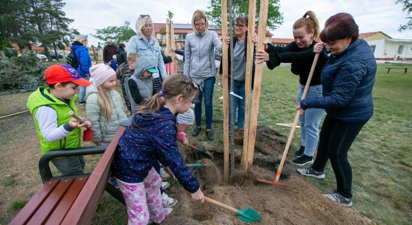 Harminc új fával zöldül Helvécia, a gyerekek is lapátot ragadtak  fotók, videó