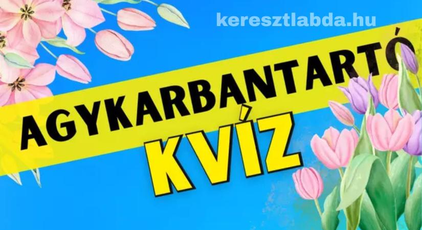 Napi agykarbantartó feladat: Hány rózsaszín tulipán volt a képen? Sokan tévednek!