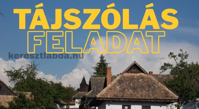 Tájszólás feladat: „findzsa” – harcos, bokros vagy valami egész más?