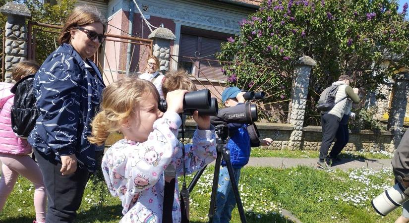 Mi repül ott? Lakókörnyezetük élővilágának szépségeit csodálták meg a kertvárosiak
