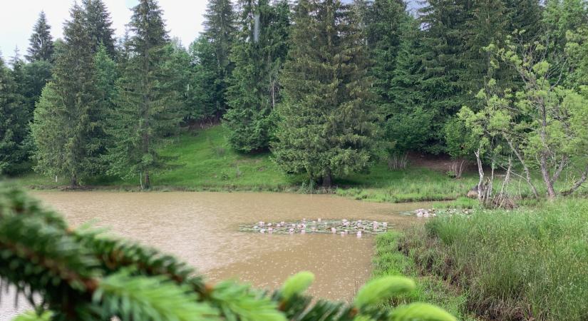 Csillagtúrák Székelyudvarhelyről