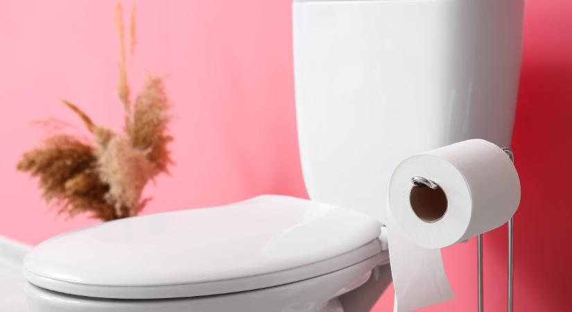 Ennél tovább nem szabadna a vécén ülnöd – Az orvosok is meghatározták az időpontot