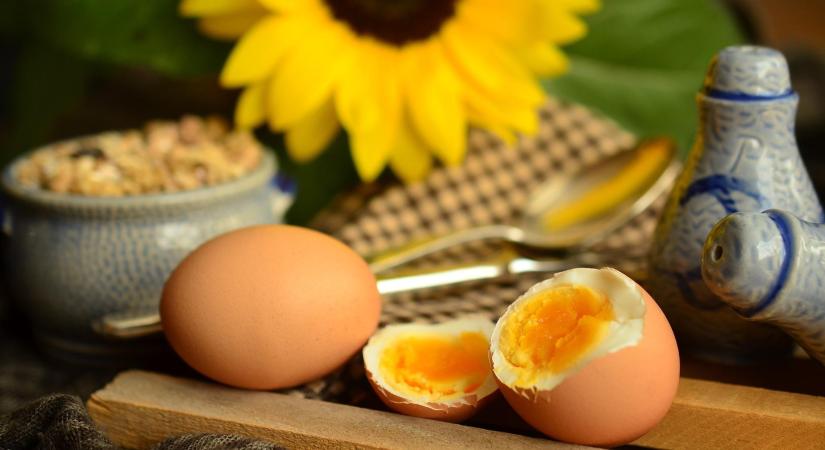 AKI: vegyesen változott a tojás ára az év első tizenöt hetében