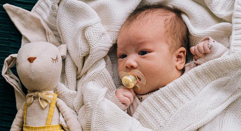 Elena, Barnabás és Abigél is megérkezett: 9 baba született az elmúlt napokban