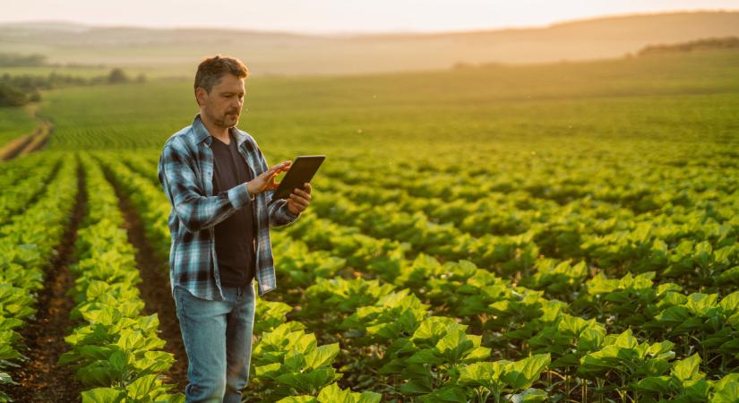 Teljes a zűrzavar a magyar földeken: ezt a szabályt sokan értelmezik félre
