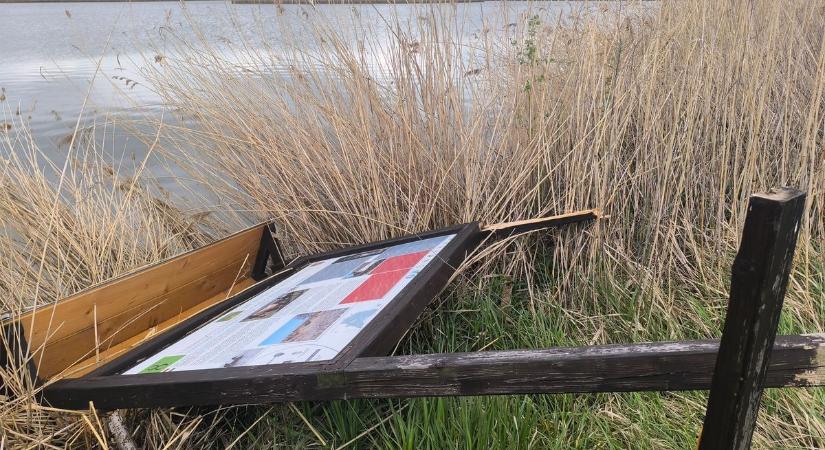 Sokkoló pusztítás Tatán: vandálok tették tönkre a frissen felújított tanösvényt fotók