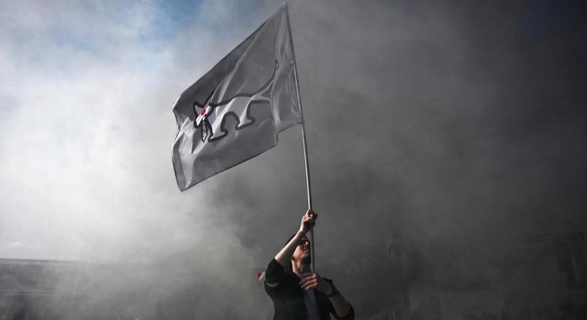 Így áll a Kutya Párt gyűjtése – messze még a cél