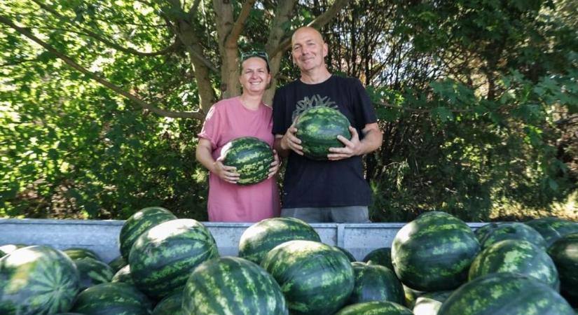Találkoznak a természet kincsei és az emberi kapcsolatok