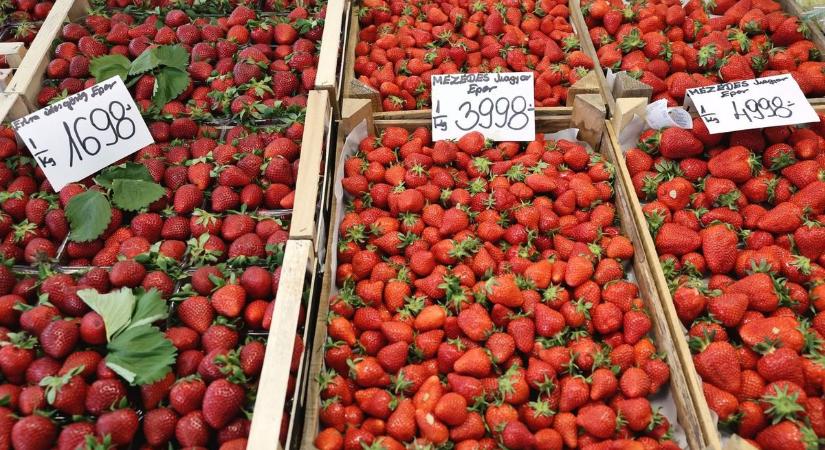 Ott a magyar eper a Búza téren, de mélyen a zsebünkbe kell nyúlni! Lesznek, akik ennyiért is elkapkodják?-fotókkal, videóval
