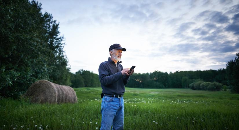 Sok gazda kerülhet bajba egy trükkös szabály miatt Magyarországon