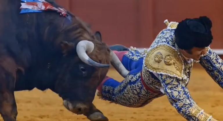 Videón a tragédia, felnyársalta a matadort a bika