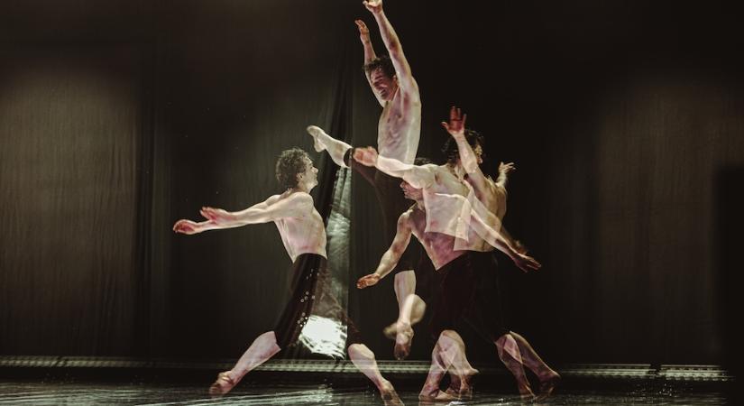 Színház minden sarkon – ez vár a 35. Művészetek Völgyén