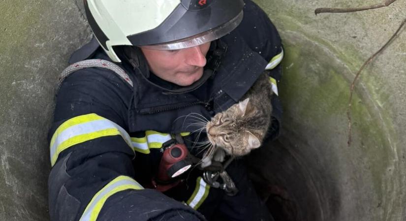 Láncfűrészre is szüksége volt a tiszaújvárosi tűzoltóknak, hogy megmentsenek egy kútba esett macskát