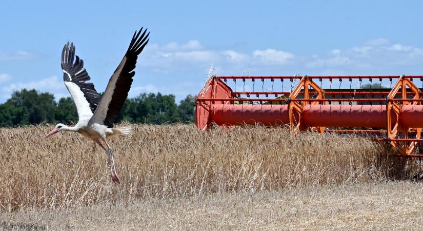 Ukrajna évekre lemondana az agrártámogatásokról, hogy hamarabb csatlakozhasson az EU-hoz
