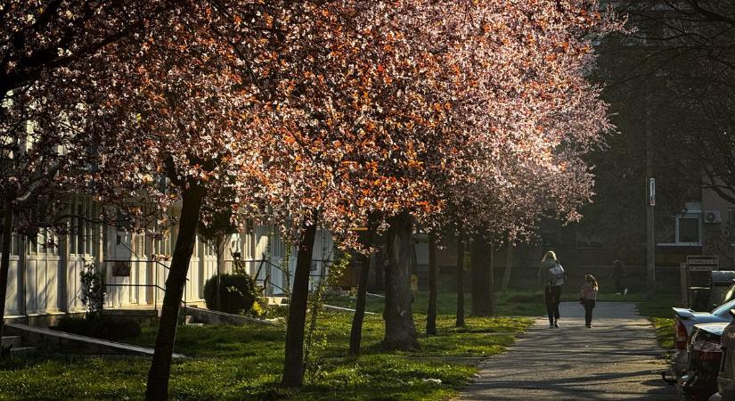 Napsütés, de metsző szél: csalóka marad az időjárás szerdán